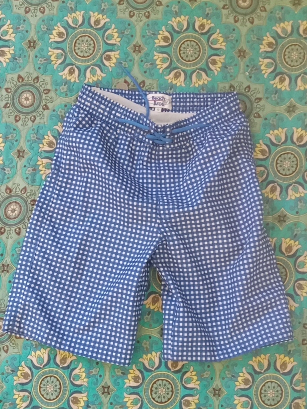 Beach Bros Blue Gingham Kids Swim Trunks